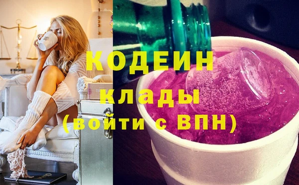 индика Ступино