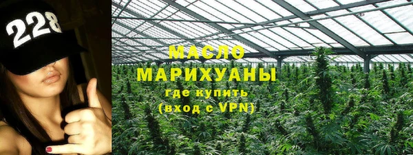 индика Ступино