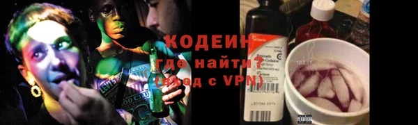 индика Ступино
