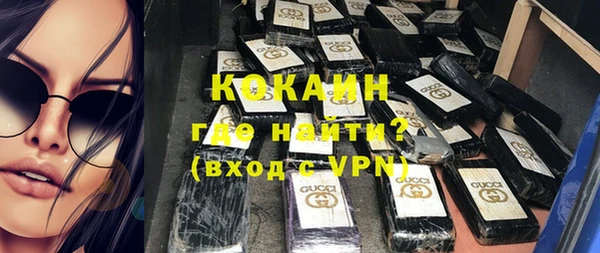 индика Ступино