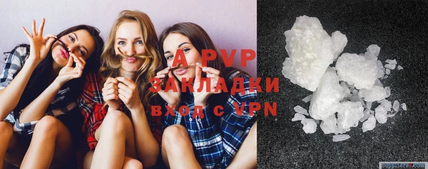 индика Ступино
