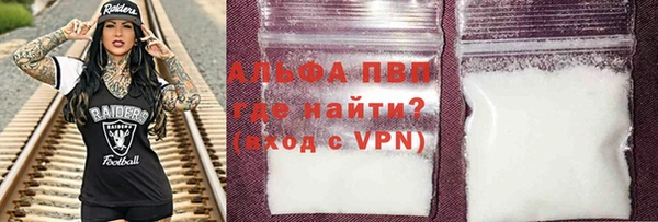 индика Ступино