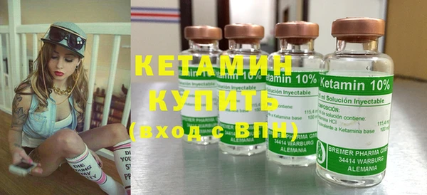 индика Ступино