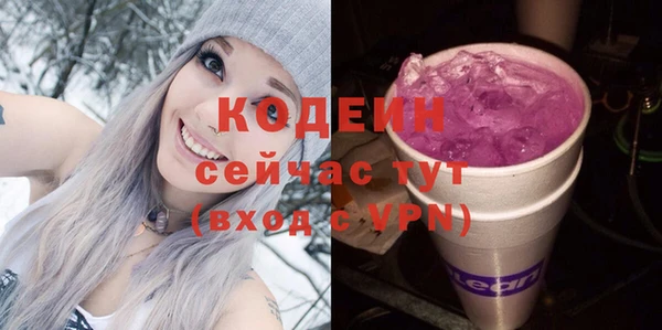 индика Ступино