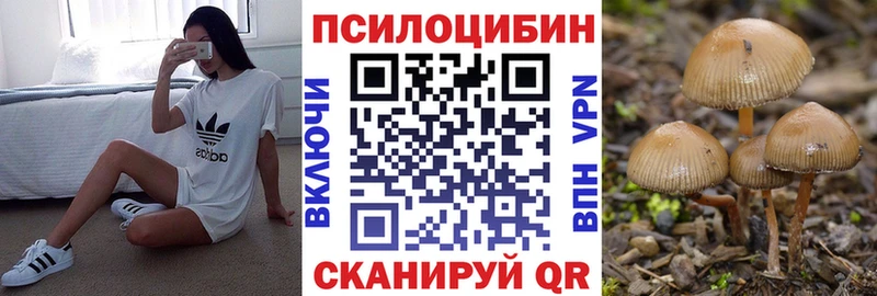 Купить  Новокубанск  Галлюциногенные грибы Cubensis 